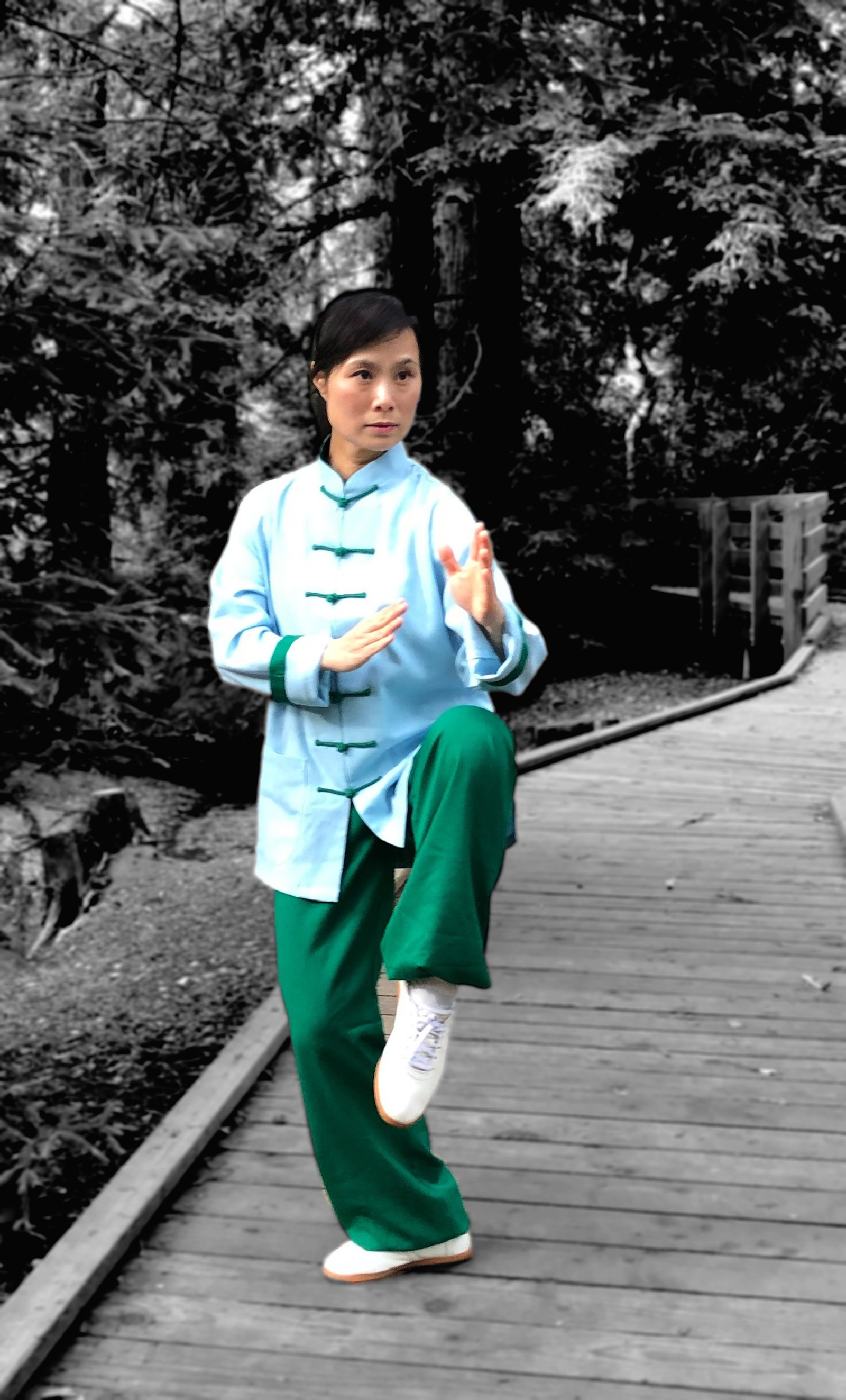 Tai Chi flowing movements